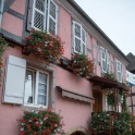 Eguisheim - 045